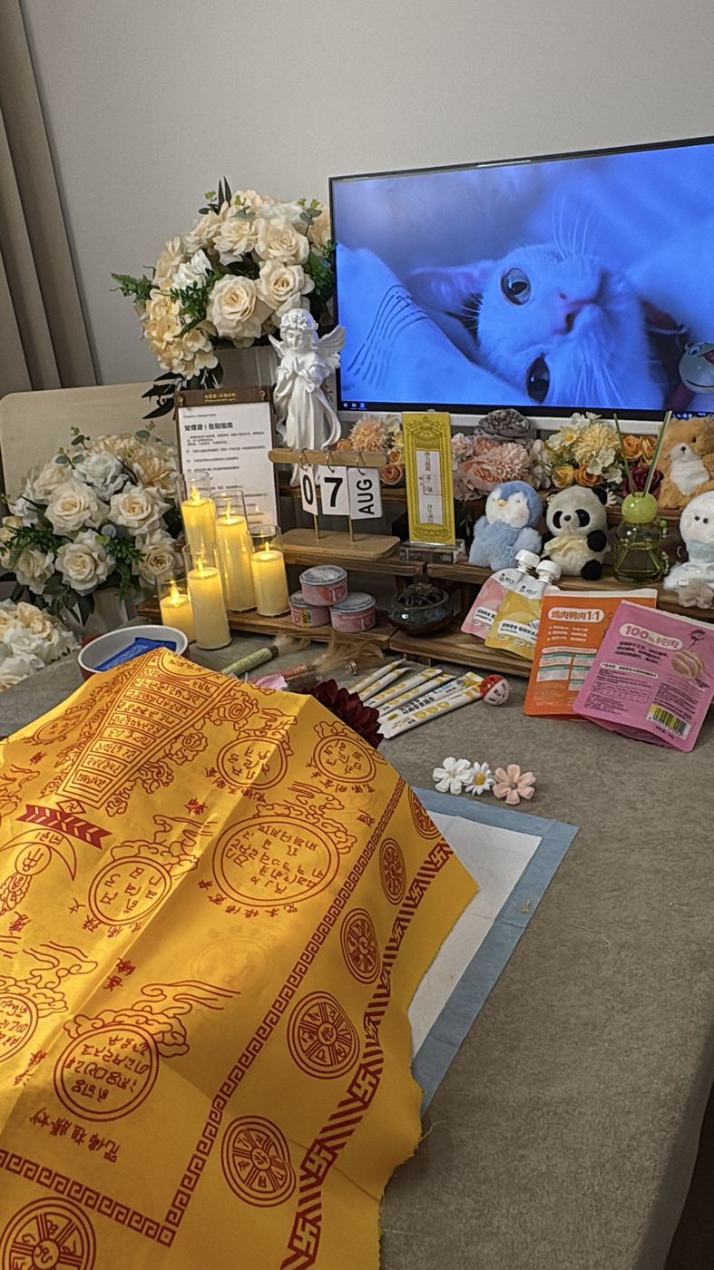 鲜花与烛光